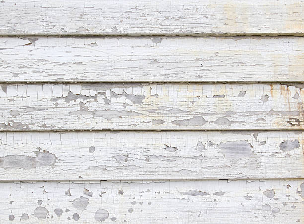 Best Same-Day Junk Removal Services  in Wright, WY